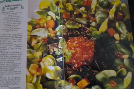 Salmon Eggs